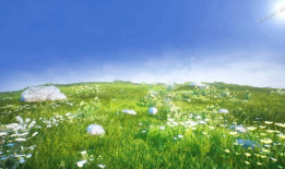 青青草原免费在线视频,畅享草原风情，尽享视觉盛宴